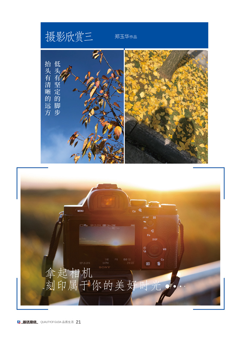 草莓APP视频在线观看季刊第十期